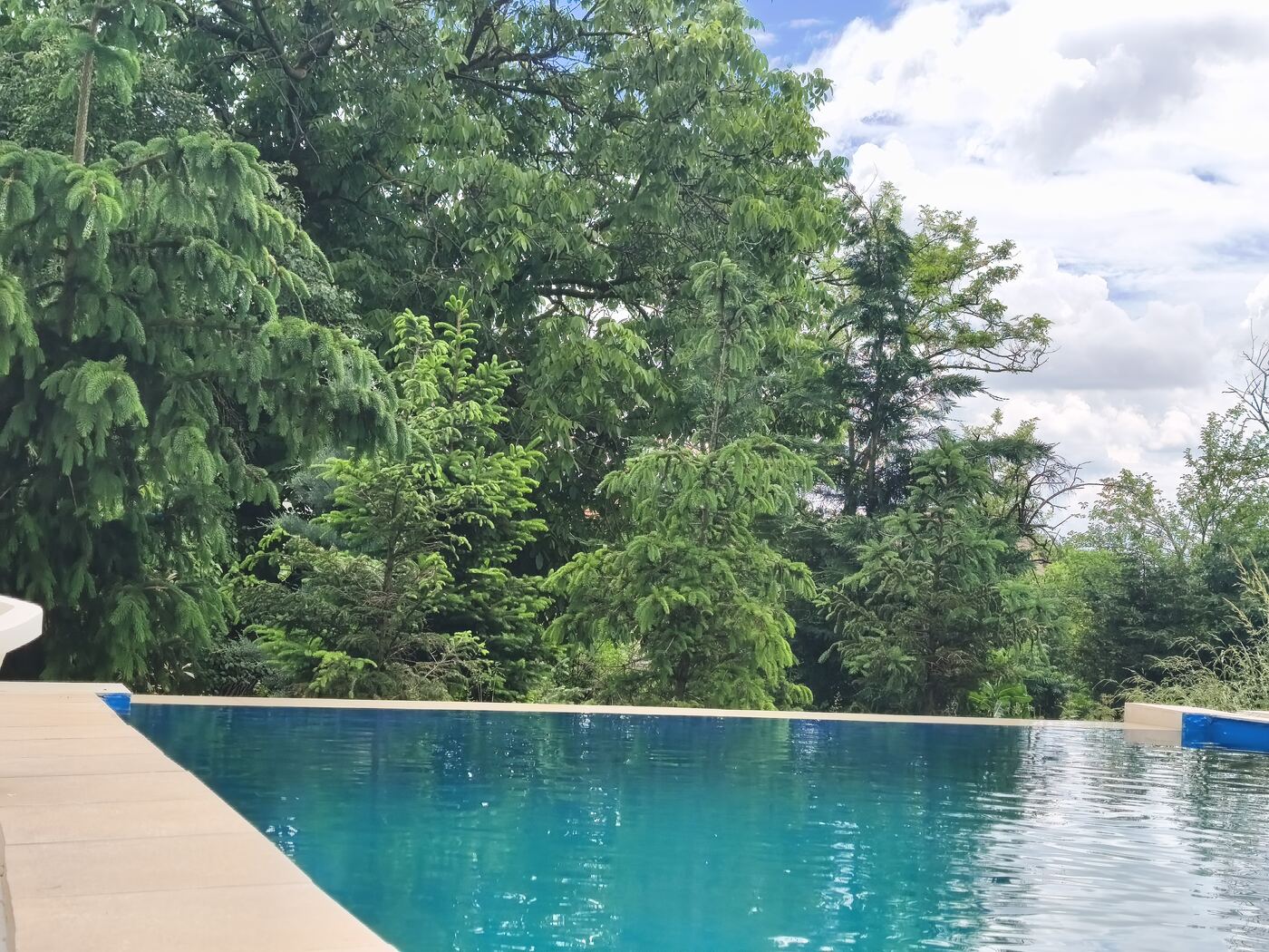 Close view of the campground pool edge with trees behind
